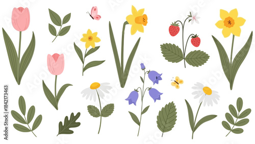 Springtime Floral Elements: Tulips, Daffodils, Bellflowers, Daisies, and Strawberries