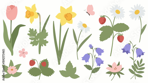 Charming Spring Flowers and Berries Vector Illustration Set