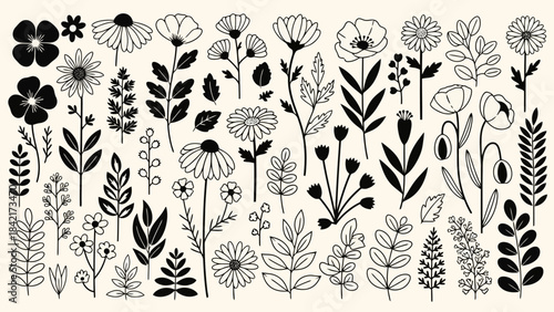 Collection of Hand-Drawn Black and White Botanical Elements and Flowers