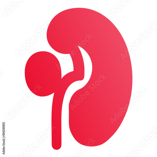 A minimalist red kidney icon representing human anatomy and medical health