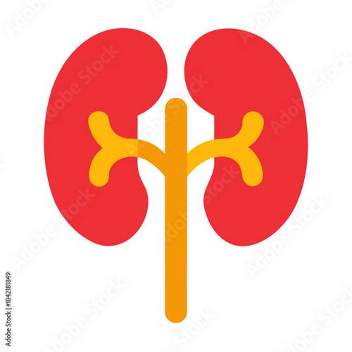 Simple red icon illustration of a pair of human kidneys with connecting structures