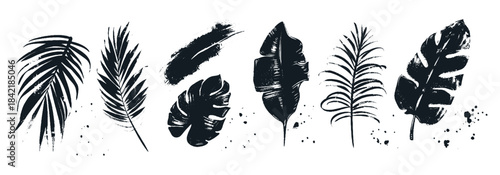 Set of various hand drawn leaves in black and white colors on a white background. Abstract natural shapes in a trendy minimalist style. Dirty leaves with grunge distressed texture. Vector illustration