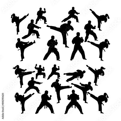 Martial art male and female silhouettes