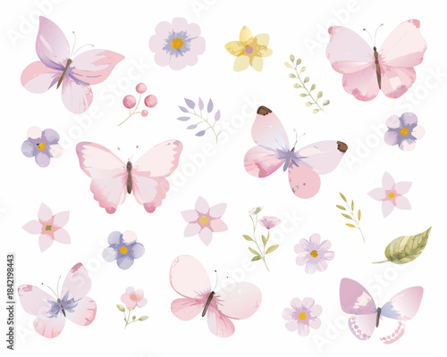 Watercolor butterflies and flowers illustration delicate floral arrangement with pastel tones