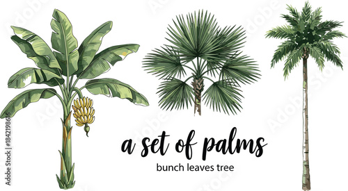 Hand-drawn tropical palm and banana tree vector set with watercolor sketch effect, ideal for summer travel and nature illustrations
