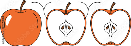 Vector Collection of Various Hat and Headwear Styles, Including Cowboy Hats, Fedoras, Top Hats, Baseball Caps, and Sun Hats, Ideal for Fashion and Costume Graphics.