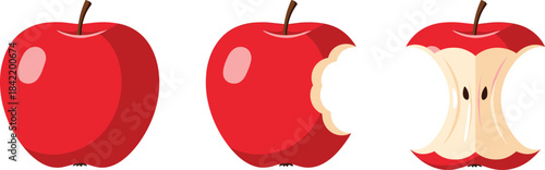 Vector Illustration Set for Waste Sorting and Recycling, Showing Colorful Bins (Organic, Paper, Plastic, Metal, Glass) and Corresponding Waste Piles, Ideal for Environmental Graphics.