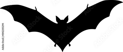 Silhouette of a black bat with wings outstretched, isolated on a white background