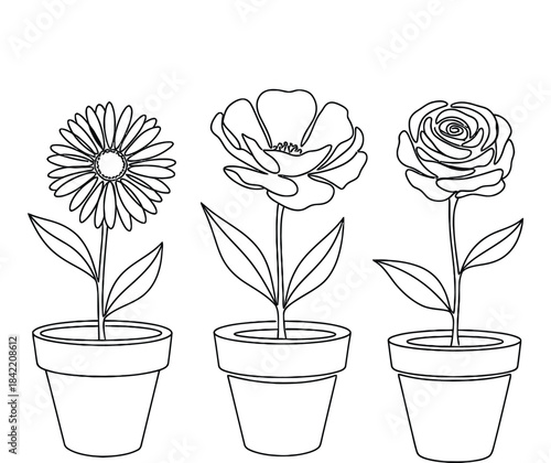 Three potted flowers illustration in black and white