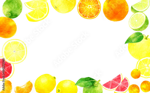 フレッシュな柑橘類のフレーム　果物の手描き水彩イラスト素材