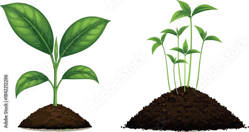 Festive Christmas Baubles Vector Set in Yellow, Green, and Red with Deer, Pine, and Snowflake Icons, Perfect for Holiday Season Design and Greeting Cards.