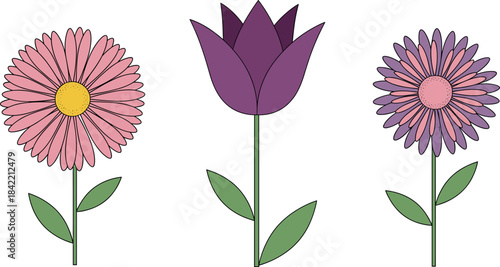 Minimalist Vector Illustration Set of Three Stylized Spring Flowers: Daisy, Tulip, and Aster, Perfect for Gardening, Nature, and Simple Graphic Design.