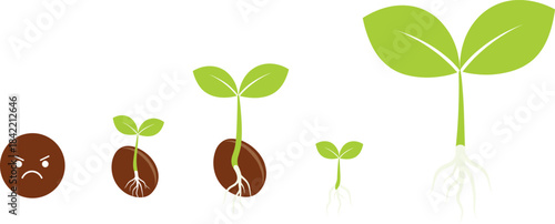 Plant Growth Stages Vector Illustration from Seed to Sprout with Roots and Leaves, Perfect for Education, Agriculture, and Natural Green Design.