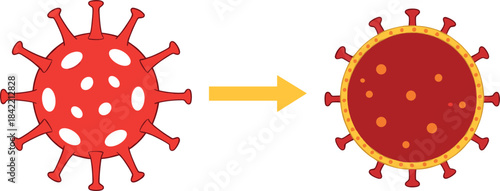Red Virus Evolution Vector Illustration Showing Mutation or Change, Ideal for Scientific Presentations, Medical Research, and Health Awareness Graphics.