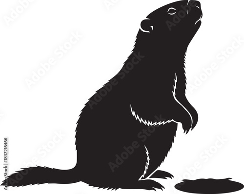 Black silhouette of a groundhog standing on its hind legs looking up