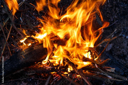 Vibrant, bright orange flames dance intensely on burning wood and twigs creating a mesmerizing campfire glow against dark forest ground