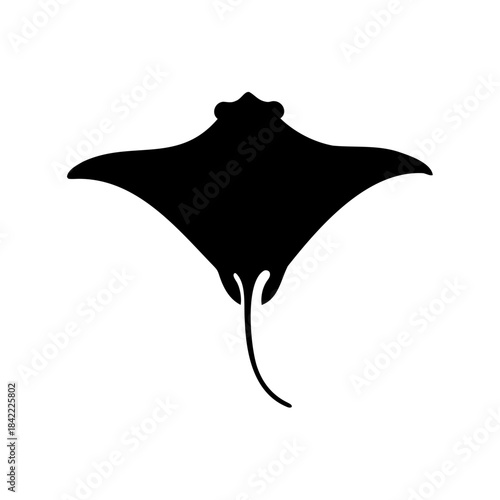 Elegant black silhouette of a manta ray swimming in the ocean depths