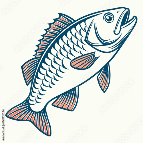A single fish-vector. 