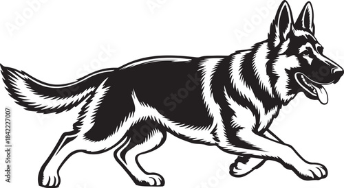 Black and white german shepherd dog running with tongue out vintage illustration
