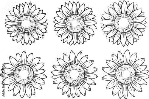 Set of sunflowers black outline, hand drawn vector floral elements in line art style