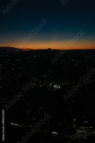 東京都庁からの夜景