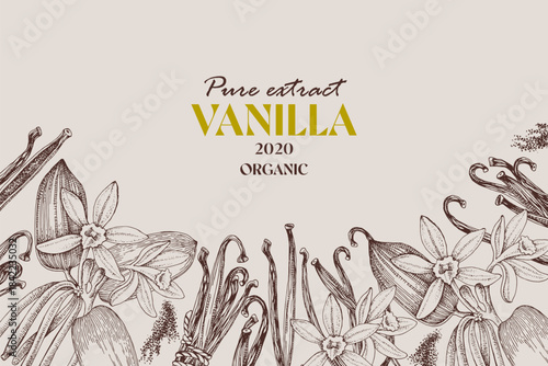 Hand drawn vector background with vanilla plant