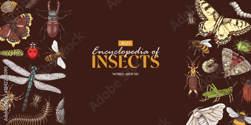 Insects horizontal banner vector with hand drawn creatures