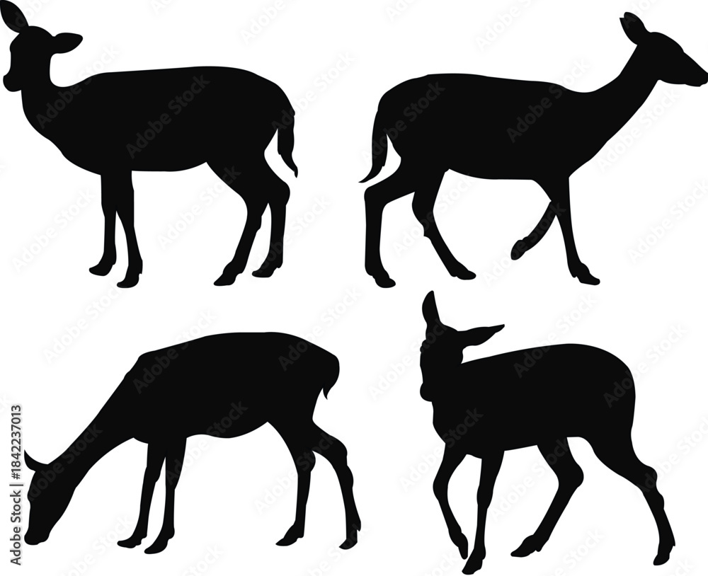 Fototapeta premium vector set of black standing and walking doe silhouettes on white background vector illustration