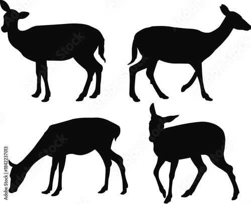 vector set of black standing and walking doe silhouettes on white background vector illustration