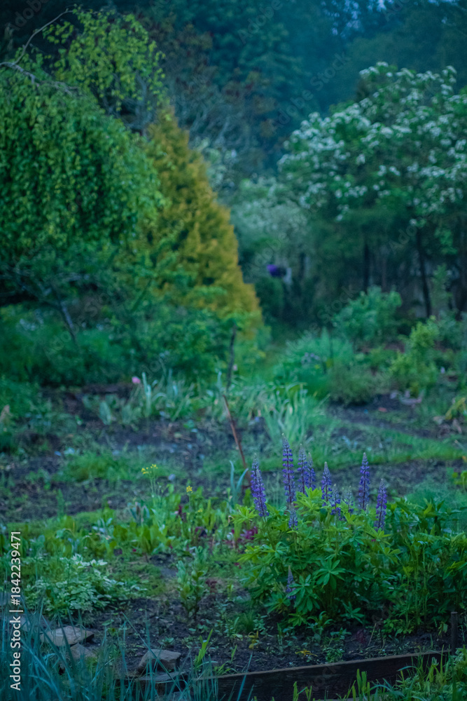 Fototapeta premium A peaceful garden showcases bright flowers and greenery, embodying spring's beauty
