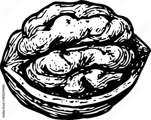 Detailed Black Line Art of Open Walnut Half with Textured Shell
