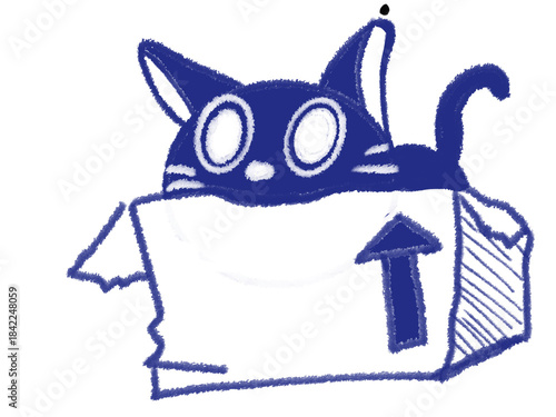 cat on box on white background, Digital illustration	