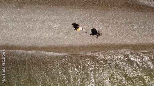 Aerial drone top view of two hikers walking along water on a sunny summer day. Tourists explore lake in the Gobi Desert in Mongolia, Mongol Els region. Trekking on summer vacation