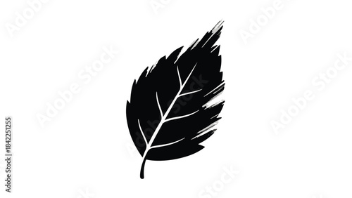 Black feather silhouette on white background, isolated, natural, simple, elegant, minimalist design element, symbol, icon, graphic