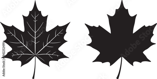 Maple leaf full black silhouette for maple leaf fall designs. Natural maple leaf silhouette vector art illustration