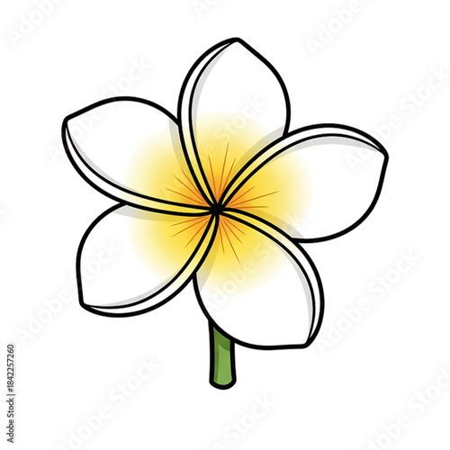 The frangipani flower is yellowish white. Isolated on a white background.