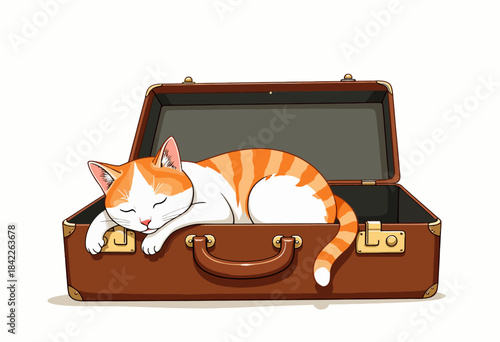 Adorable Orange and White Cat Peacefully Sleeping Inside an Open Brown Suitcase on a Clean White Background