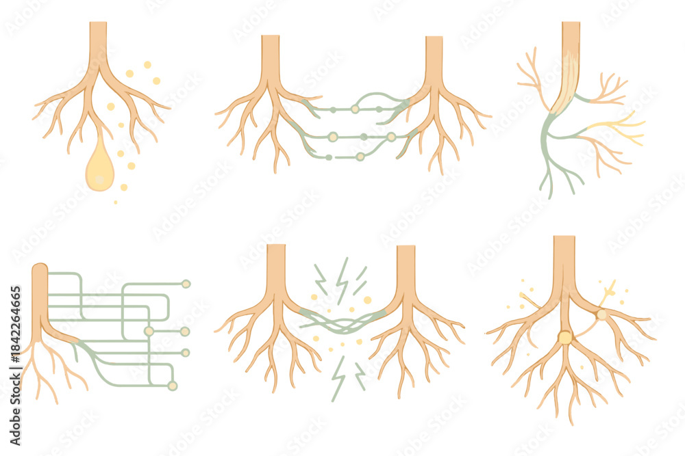 Fototapeta premium Series of drawings of tree roots, each with a different concept or mood