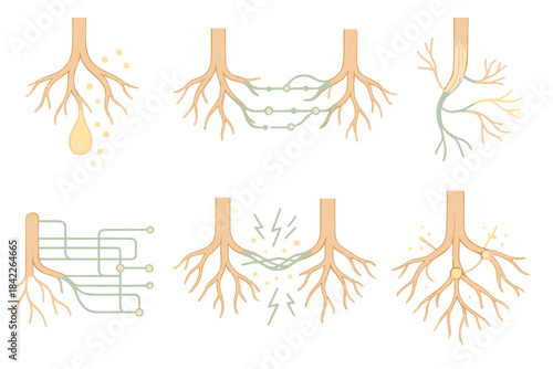 Series of drawings of tree roots, each with a different concept or mood
