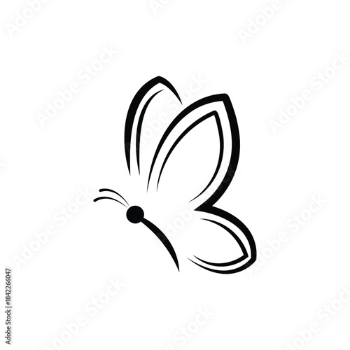 Black and white butterfly line art , minimal outline butterfly illustration isolated on white background
