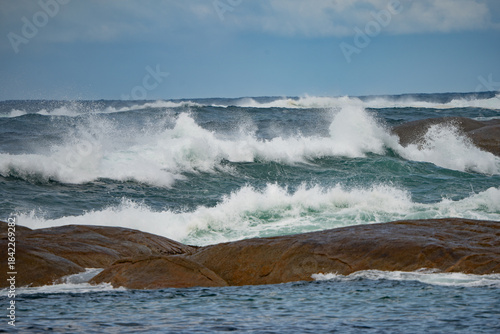 Photos Margaret River in spring