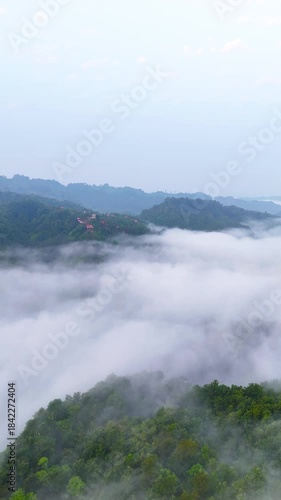 Nature Escape: Wildflowers Blooming Near Hillside