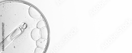 Cosmetic moisturizing gel or skin serum in a petri dish. Copy space