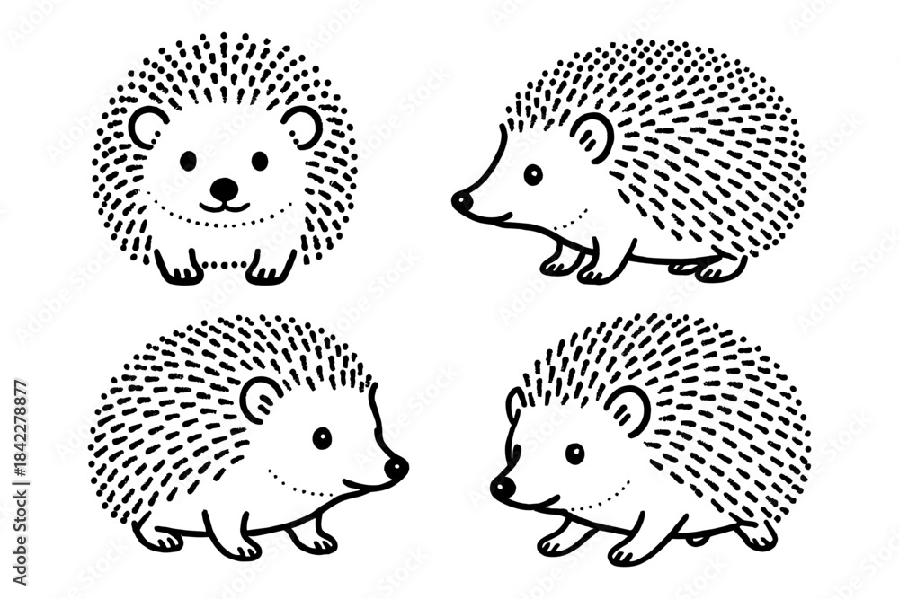 Obraz premium Cute linear hedgehog designs in black and white