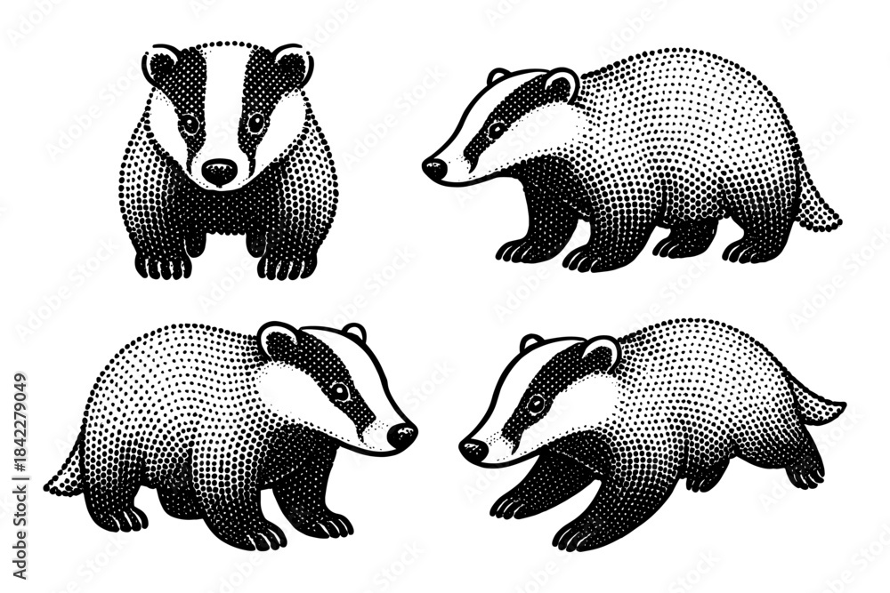 Obraz premium Vintage dot art badger collection: detailed wildlife illustrations in a retro style