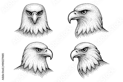 Set of four stippled bald eagle heads in black and white