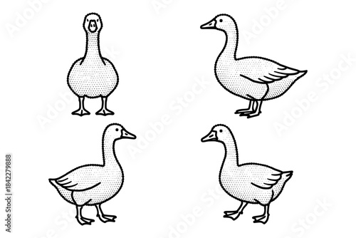 Set of dot-style goose sketches in vintage black and white designs