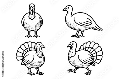 Hand drawn turkey set: four distinct simple bird designs in black and white