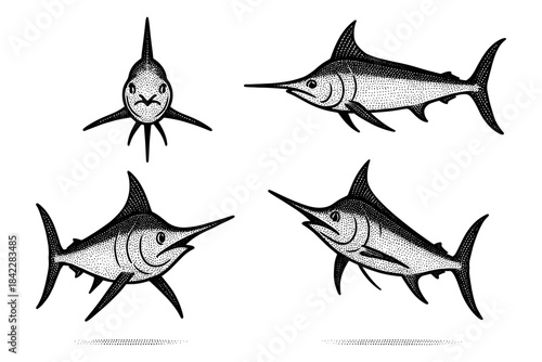 Hand-drawn swordfish collection: ink style marine illustrations