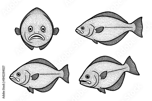 Vintage engraving style fish illustrations with detailed patterns